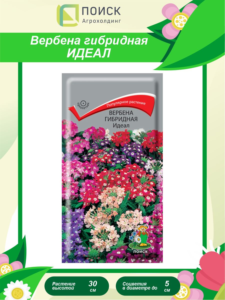 Купить Семена Вербены Бонарской В Интернет Магазине