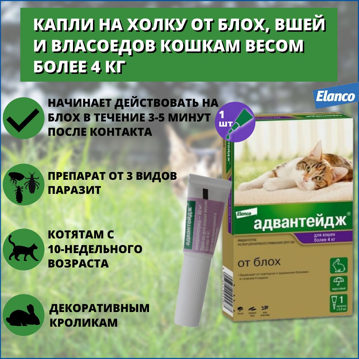 Капли Bayer/Elanco Адвантейдж для кошек более 4 кг от блох, вшей и  власоедов, 1 пипетка - купить с доставкой по выгодным ценам в  интернет-магазине OZON (859275367)