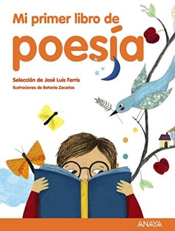 Mi primer libro de poes a