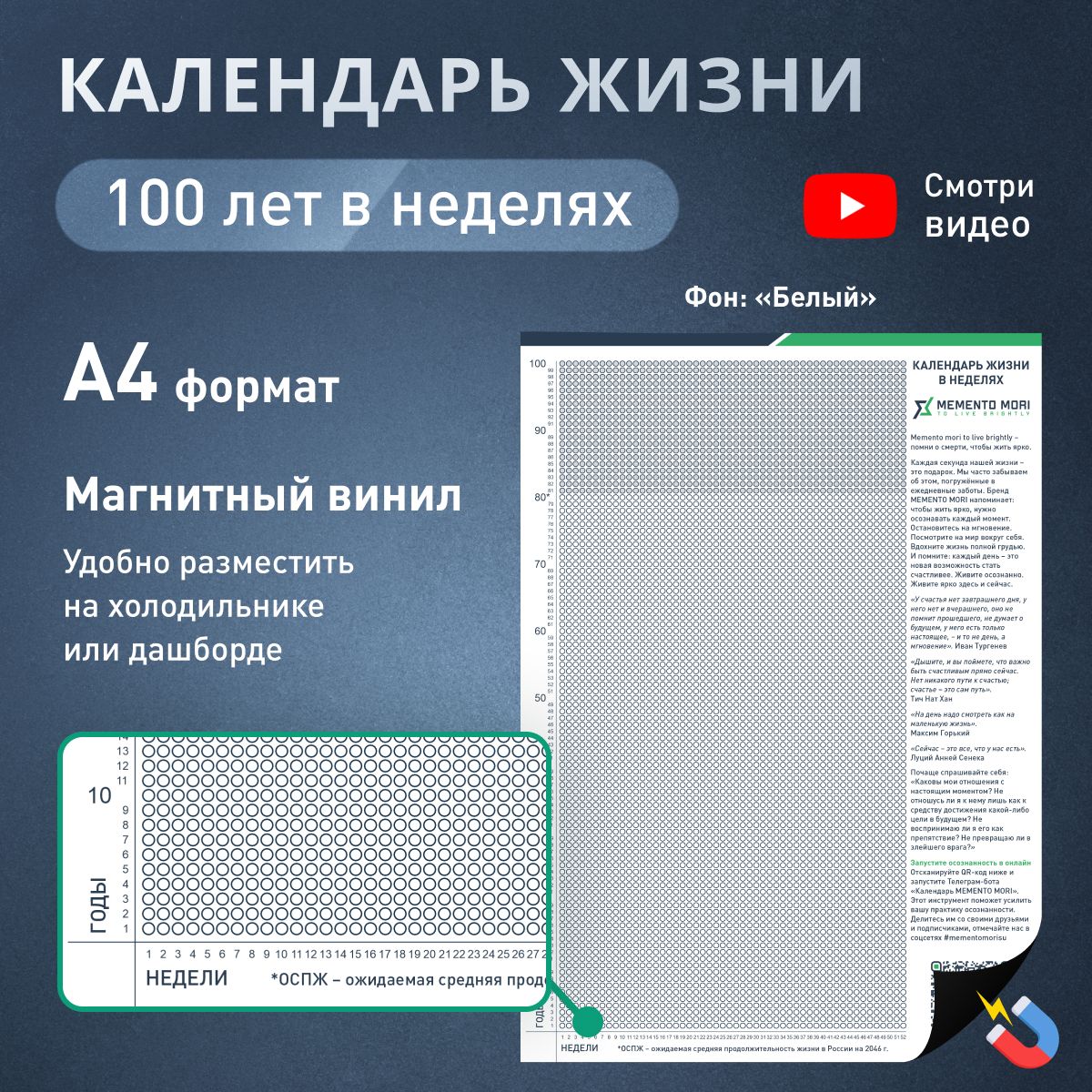 Календарь жизни в неделях MEMENTO MORI магнитный А4 100 лет / Мотивационный  календарь осознанности - купить с доставкой по выгодным ценам в  интернет-магазине OZON (1430358057)