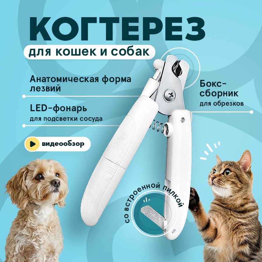 Когтерез PAWSitive для кошек и собак мелких и средних пород / Кусачки для стрижки когтей с подсветкой купить на OZON по низкой цене (928740766)