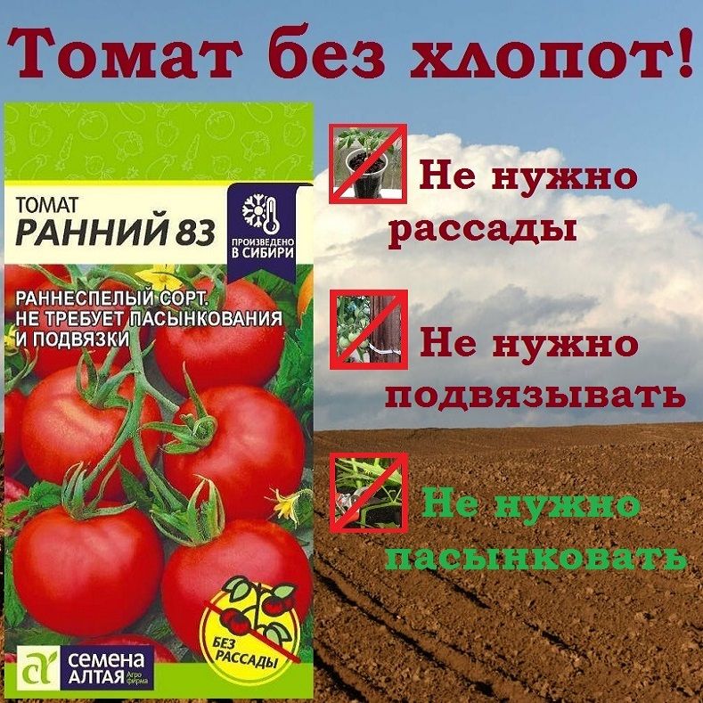 Томат Ранний-83 (Семена Алтая), 0,1 г