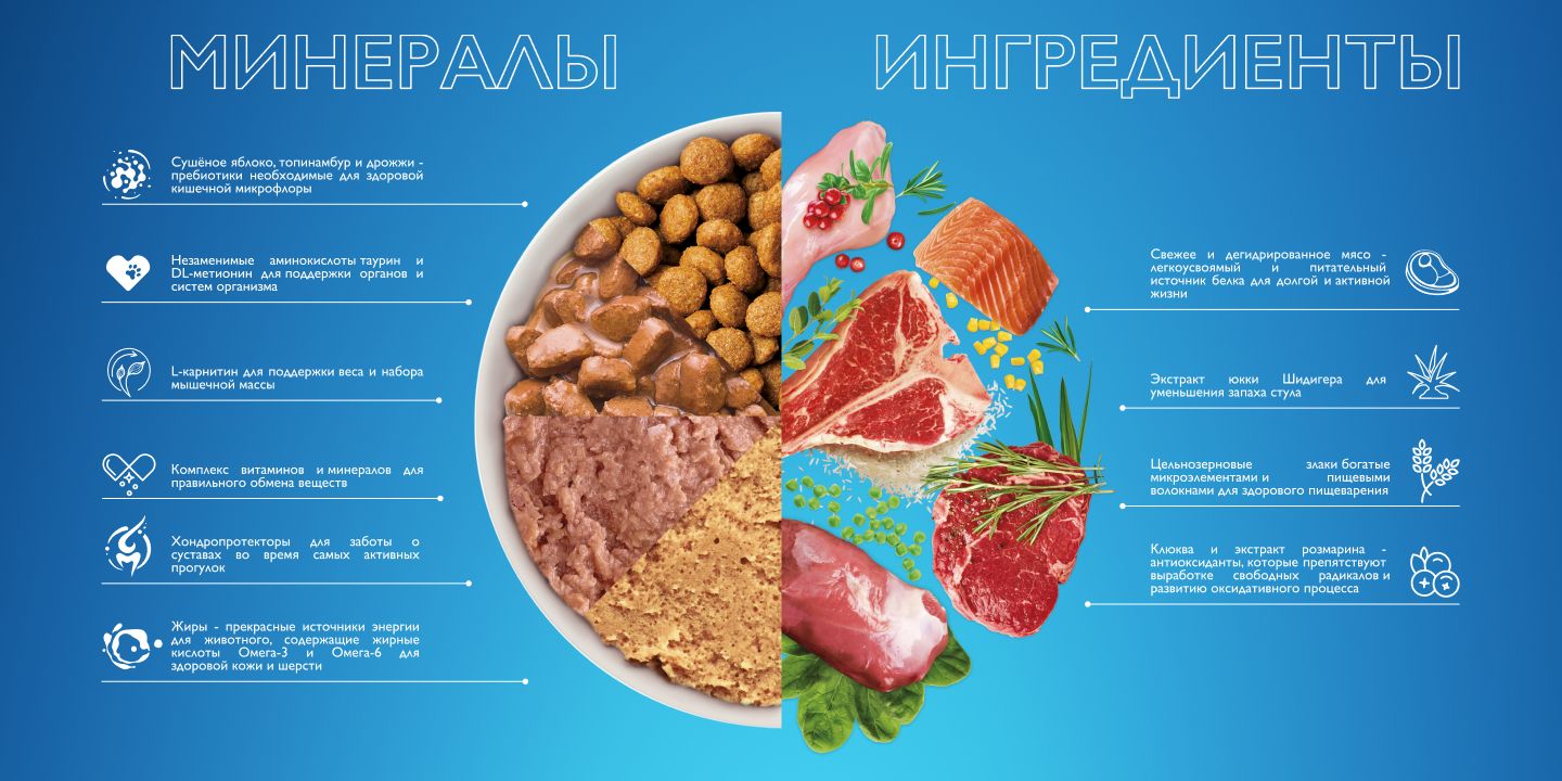 Корм сухой для собак Brit PREMIUM Dog Adult Medium, с индейкой и телят(图3)