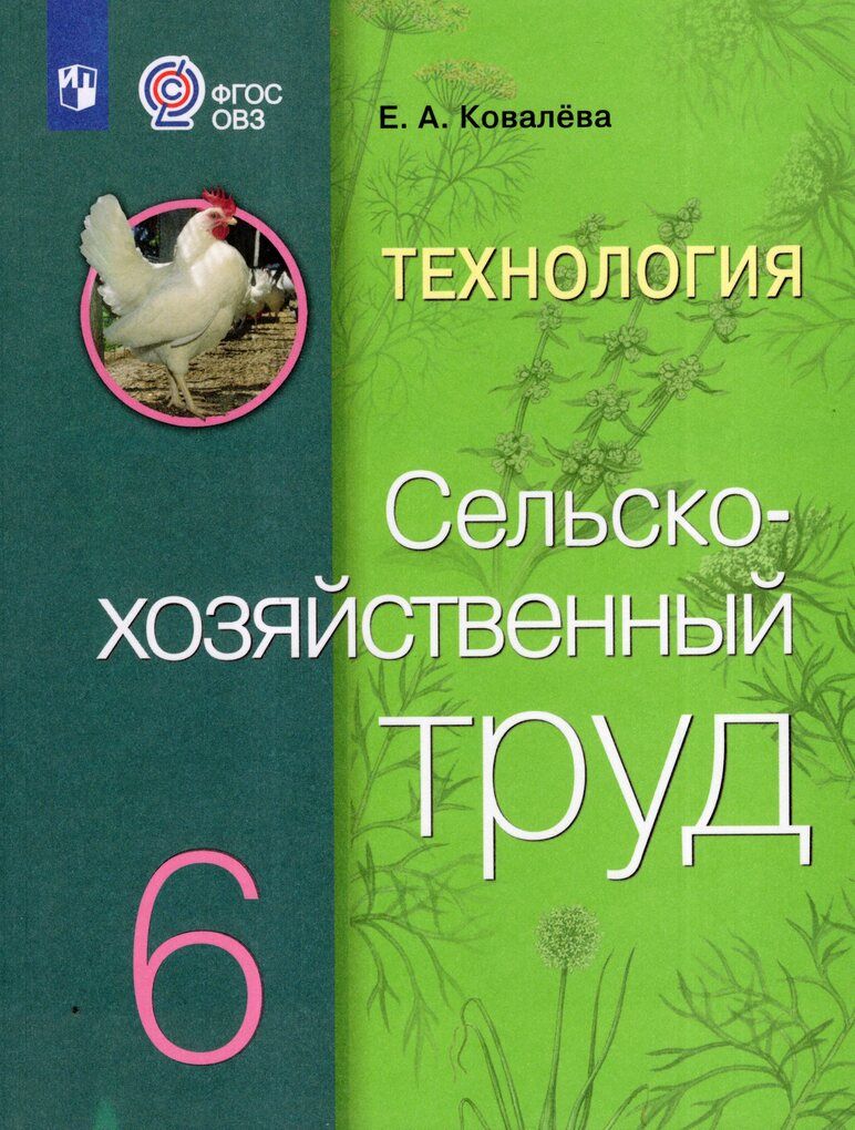 Труд 6 класс 2024