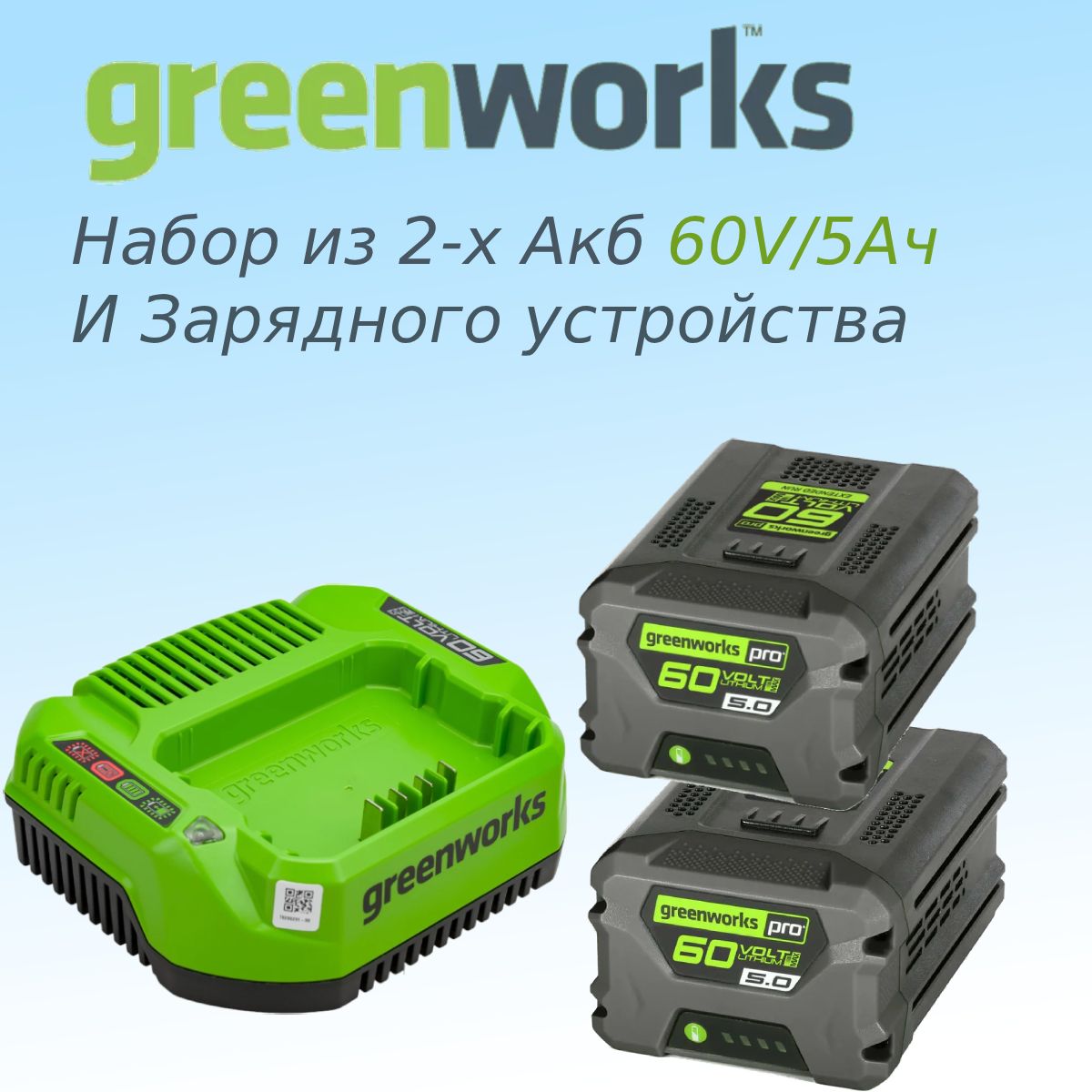 Набориз2-хАккумуляторов60V/5AhизарядногоустройстваGreenWorks