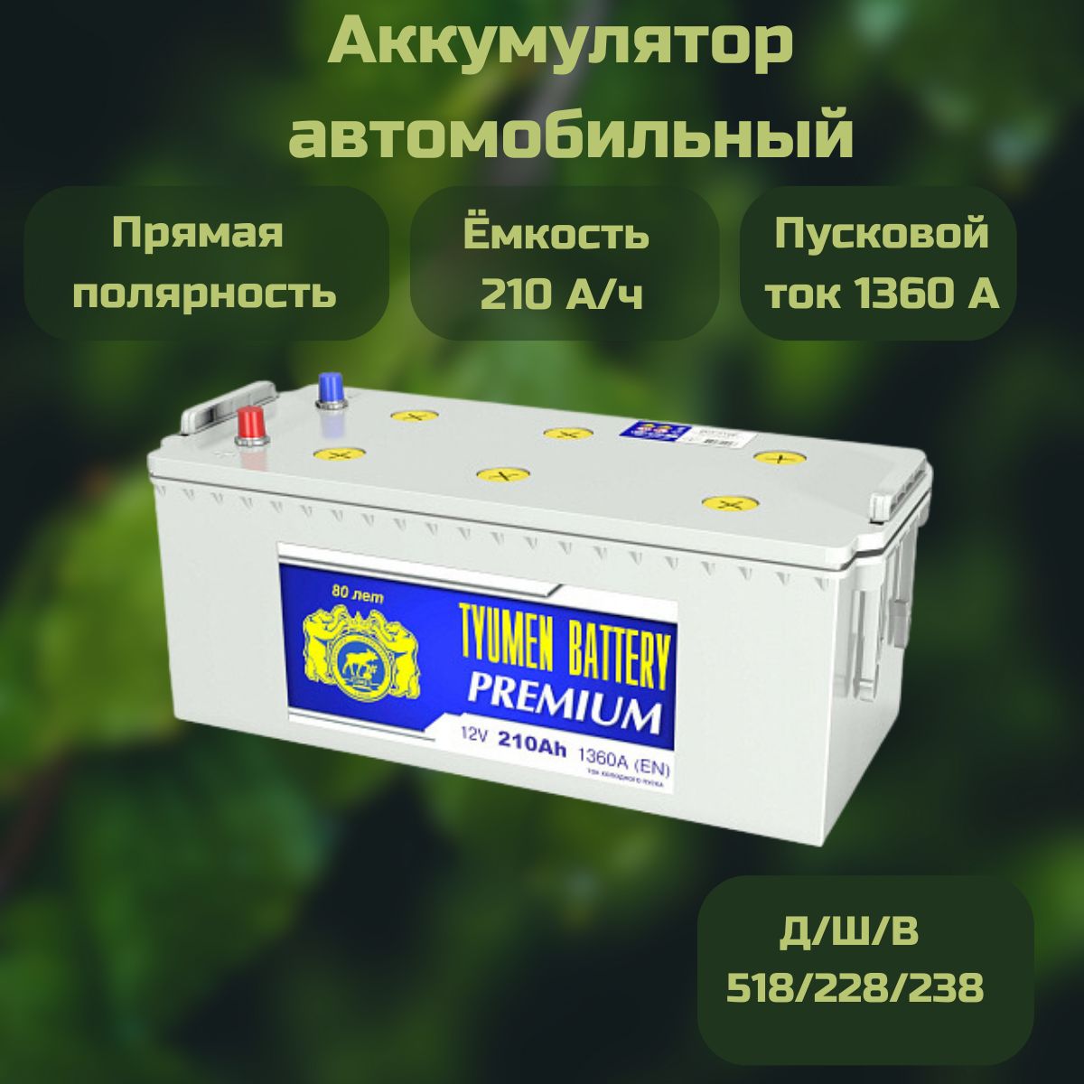 АвтомобильныйАккумуляторТюменьTYUMENBATTERYPREMIUM210Ачпрямаяполярность