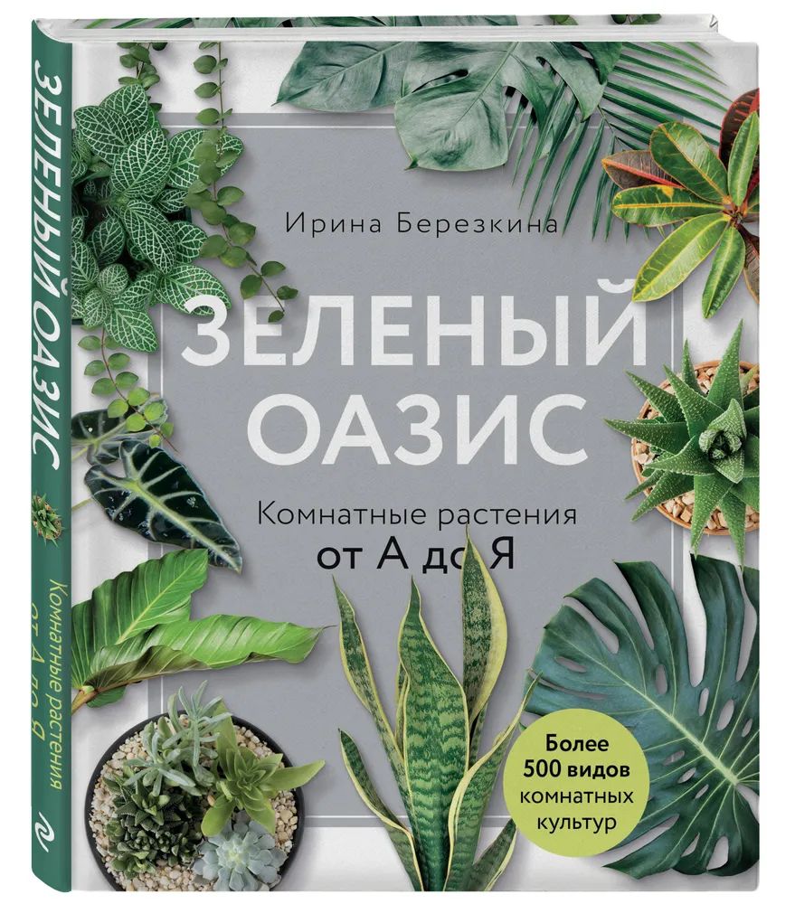 Ирина Березкина " Зеленый оазис " Комнатные растения от А до Я | Березкина Ирина Валентиновна