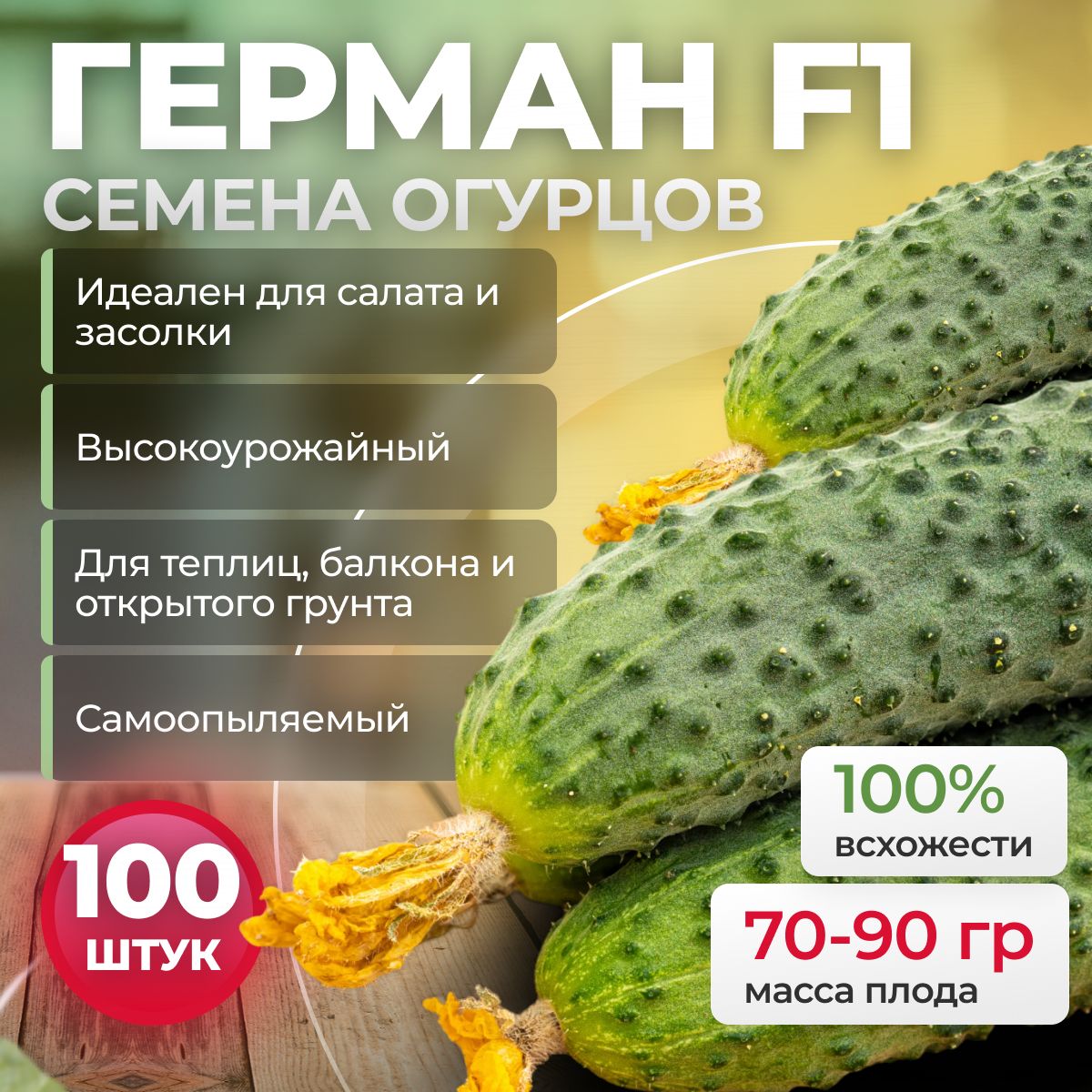 Семена огурцов Герман F1 100 шт. партенокарпические от Seminis / ALEXAGRO для открытого грунта и теплиц