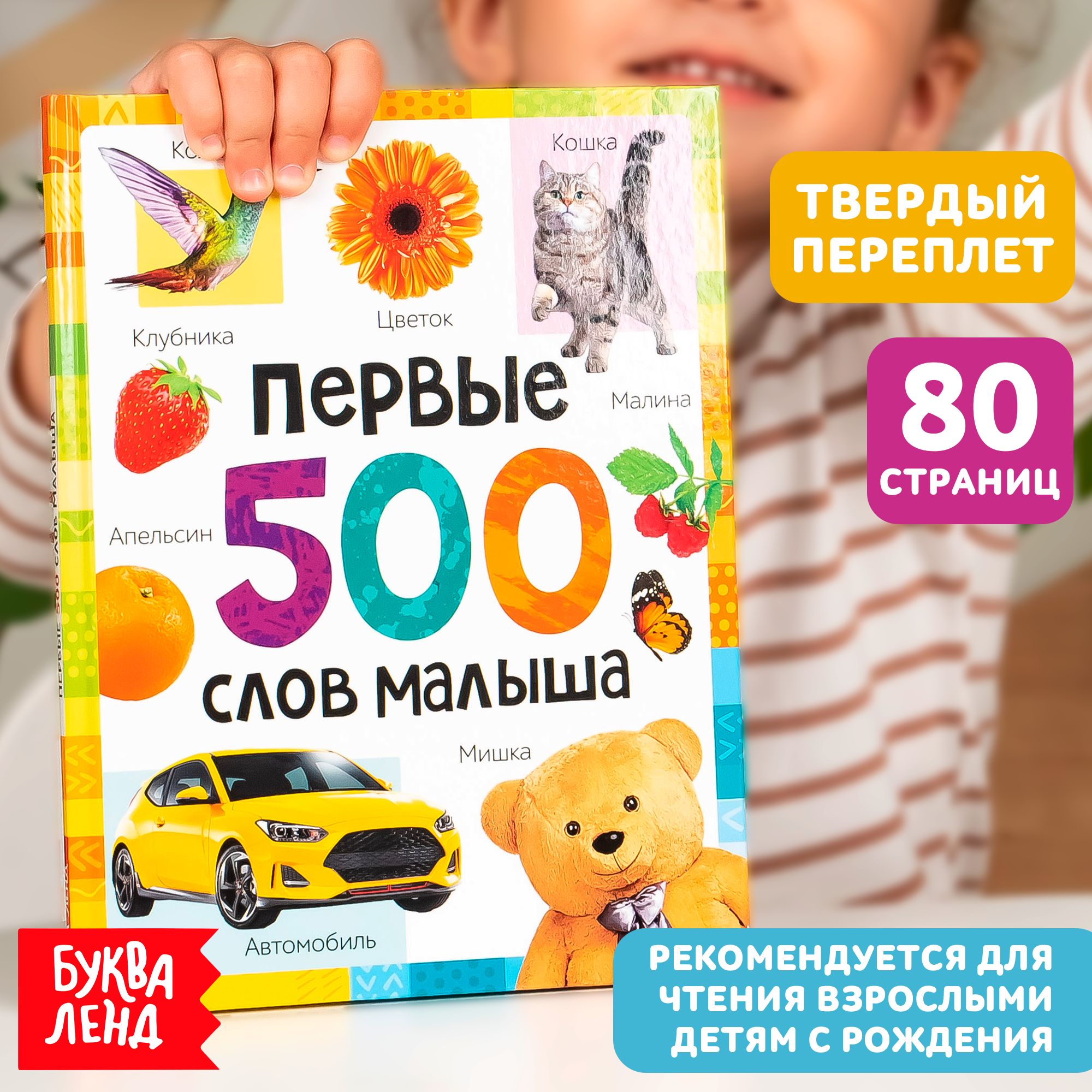 Энциклопедия для детей, Буква Ленд, "Первые 500 слов малыша", развивающие книги от 1 года | Соколова Юлия Сергеевна