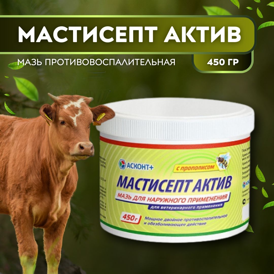 Мастисепт Актив, 450 гр, противовоспалительная мазь для наружного применения