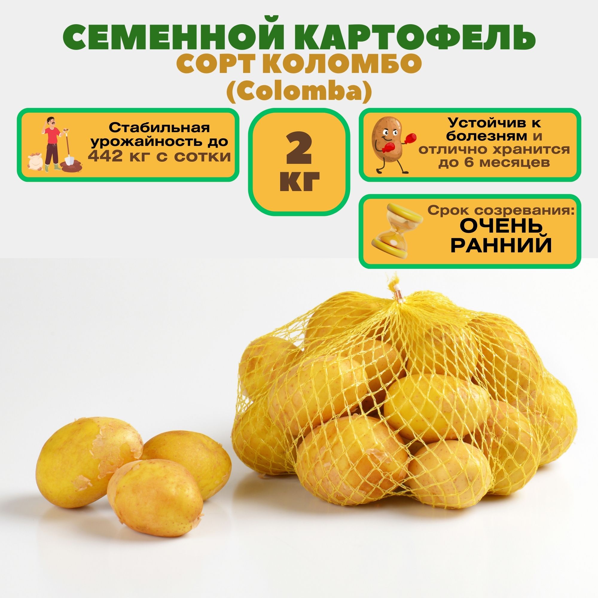 Картофель семенной Коломбо, 2 кг, суперранний скороспелый столовый сорт, с высокой урожайностью и отличными вкусовыми качествами