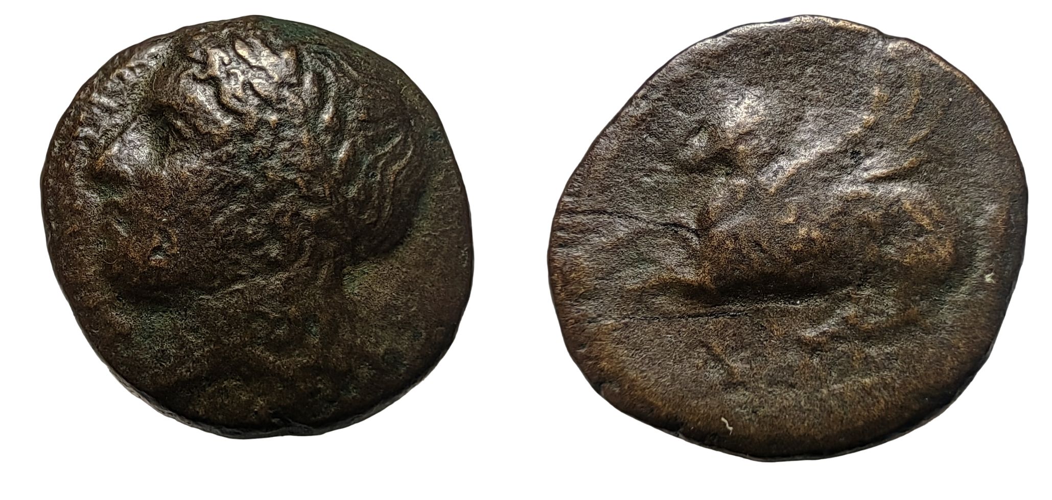 Античная монета Syracuse (Sicily) Agathocles (317 - 304 г.до н.э.) Агафокл - Пегас / Аполлон
