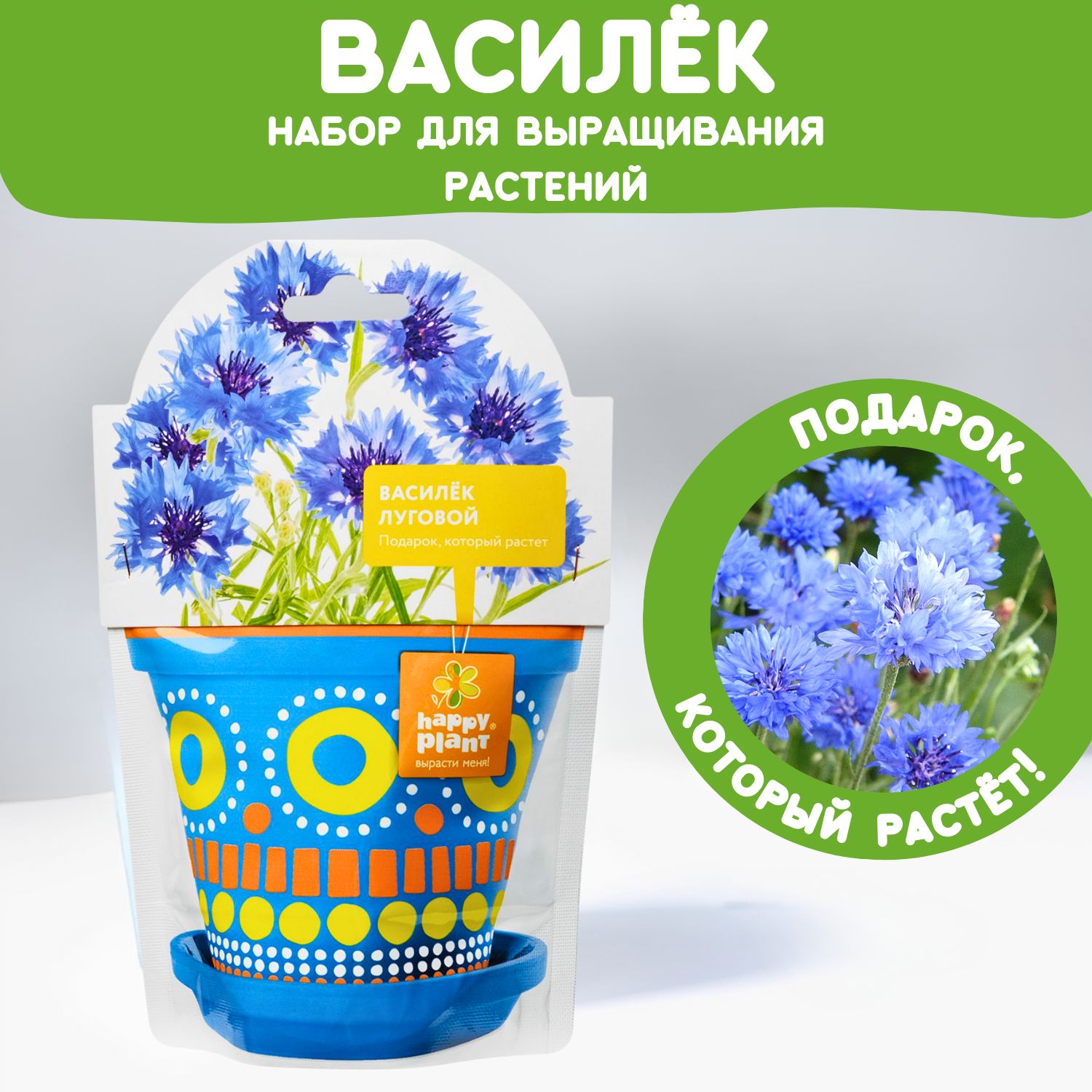 Набор для выращивания растений Happy Plant Василек луговой