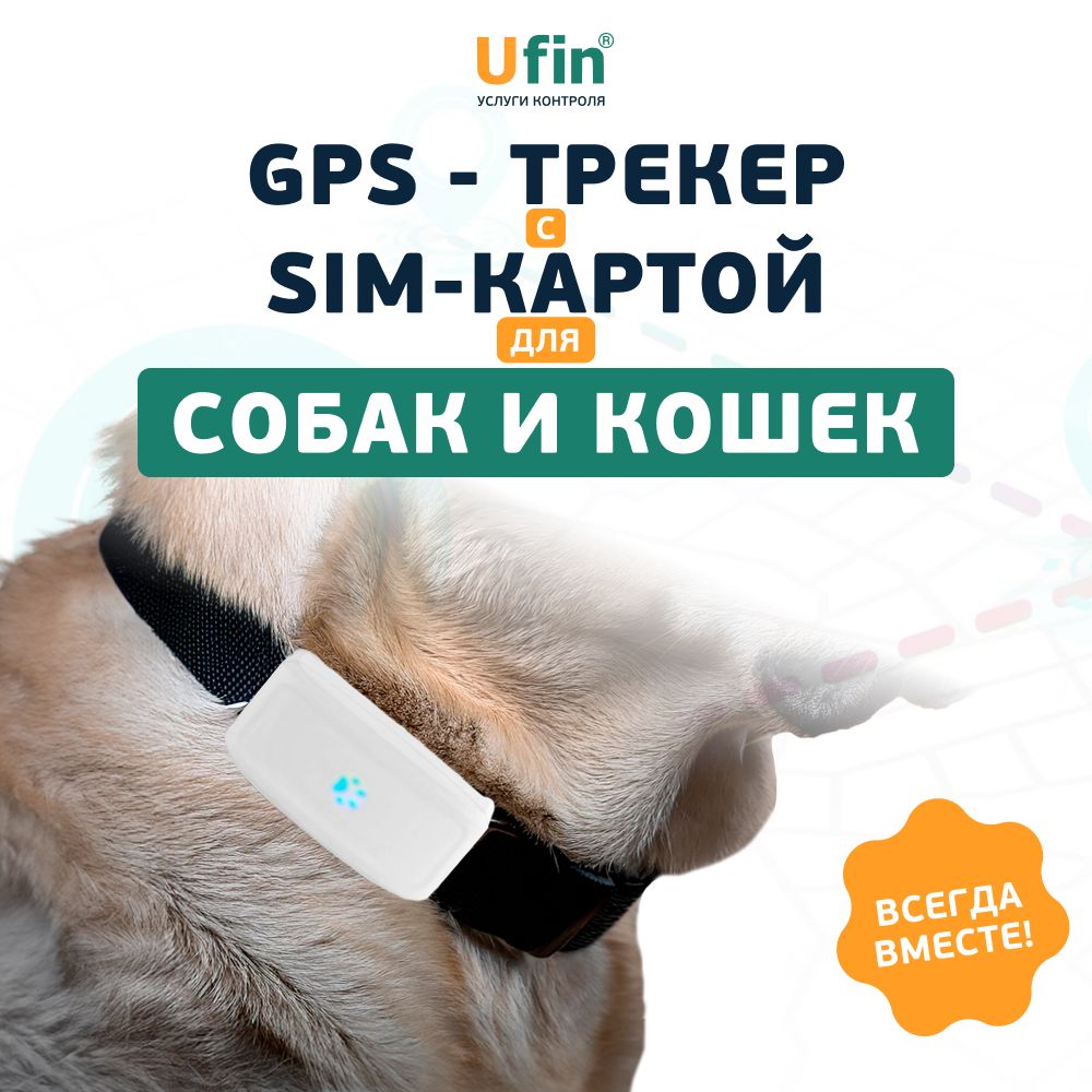 GPS трекер для собак и кошек с ошейником