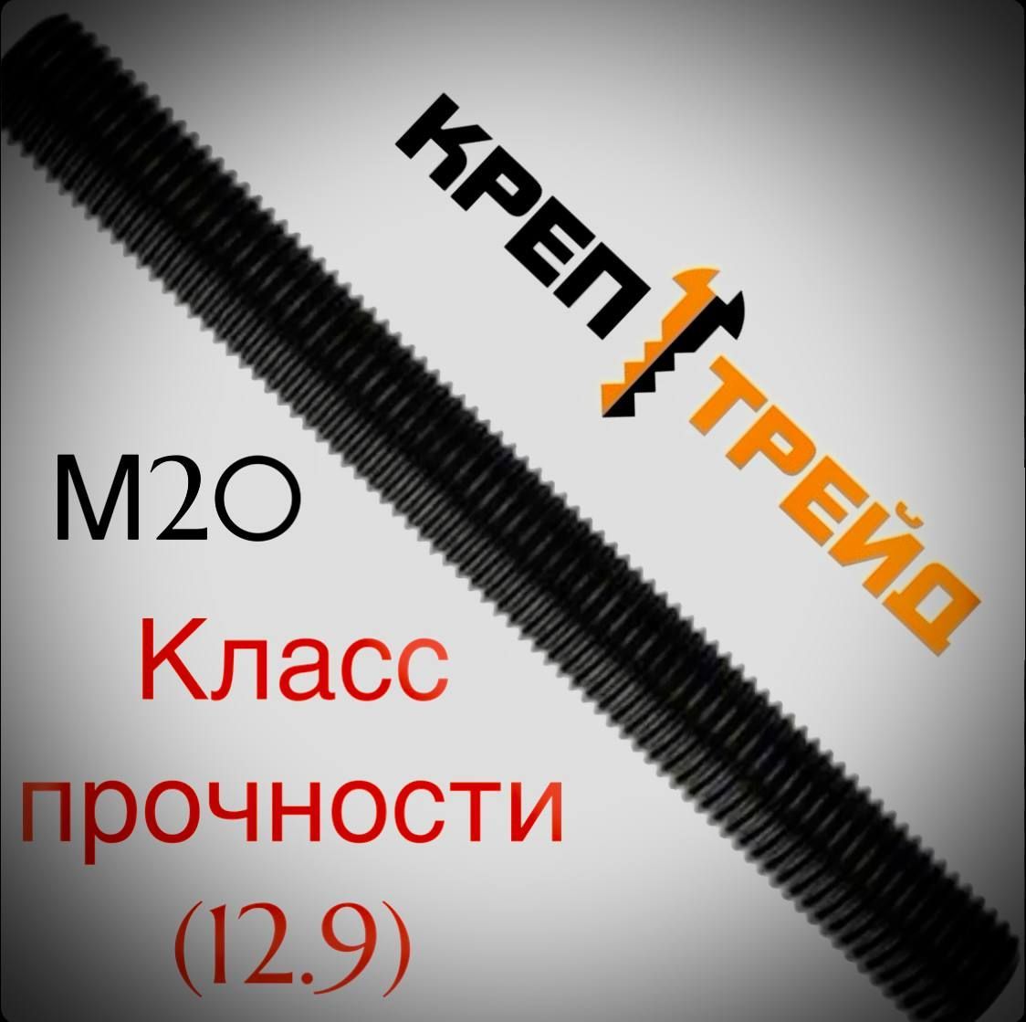 Шпилька крепежная 1000.2 мм x M20