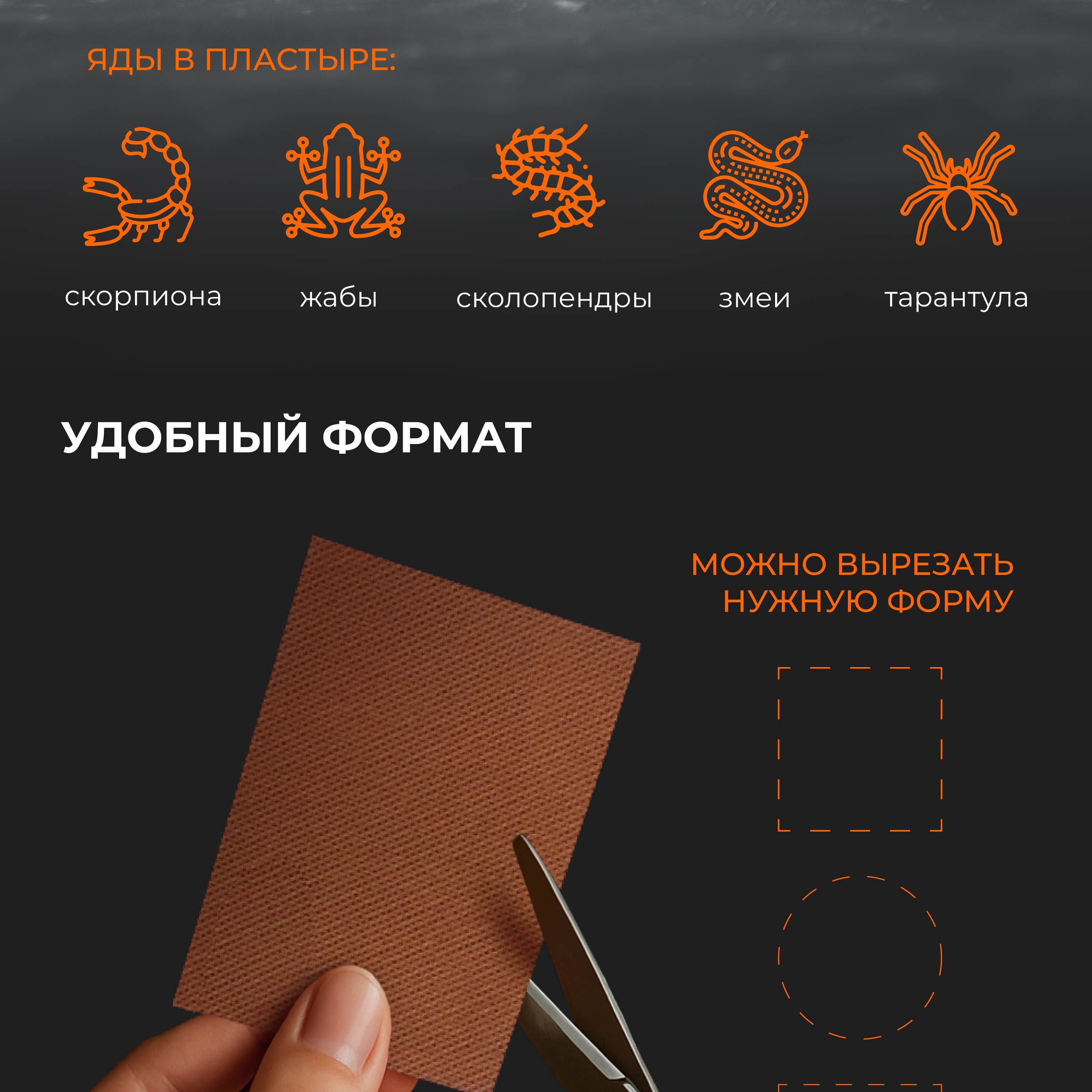 Пластырь(图4)
