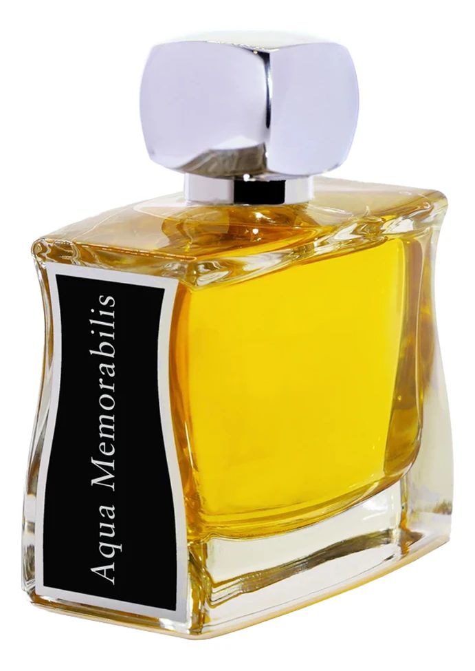 JOVOY Aqua Memorabilis Парфюмерная вода унисекс 100 мл JOVOY PARIS