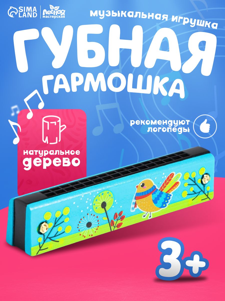 Музыкальная игрушка / Гармошка детская