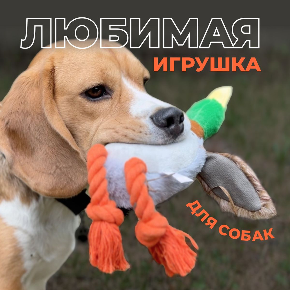 Игрушки для собак мелких, средних и крупных пород с канатами