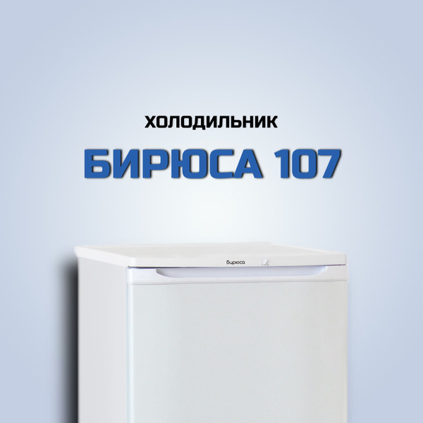 Холодильник Бирюса Б-107, белый - купить по доступной цене в интернет ...
