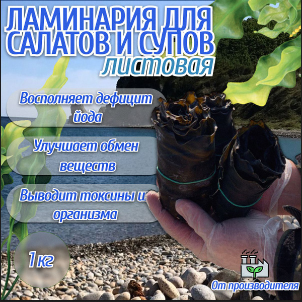 Морская капуста сушеная для салата (листовая ламинария), 1 кг - купить ...