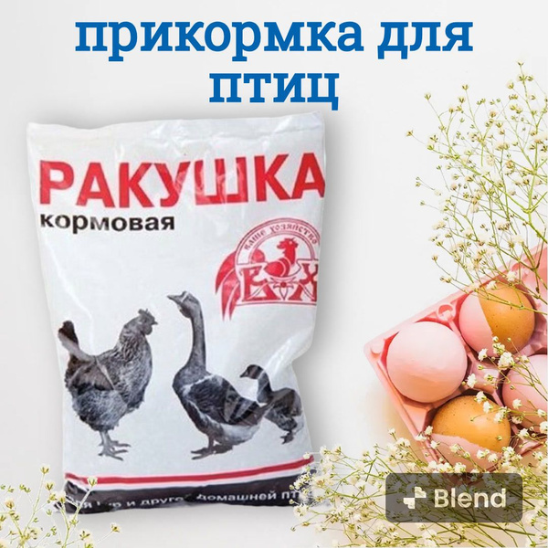 Кормовая добавка Ракушка для птиц, для кур несушек. - купить с ...