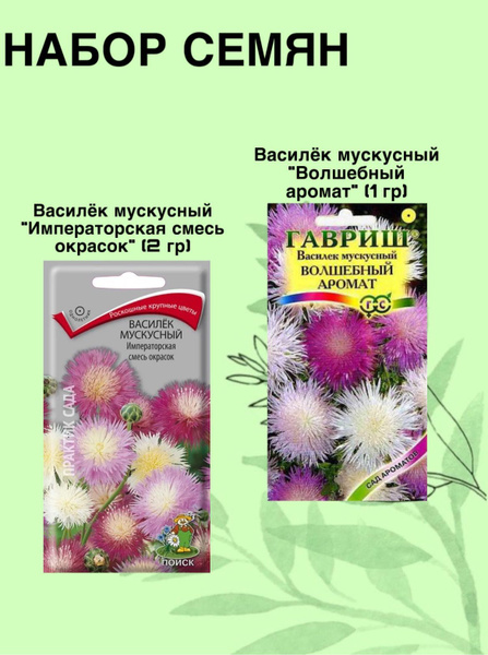 Васильки однолетние Василек - купить по выгодным ценам в интернет ...