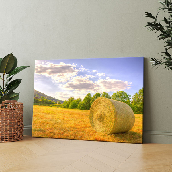 Картина на холсте (Стог сена в поле на фоне горы) 60x80 см. Интерьерная ...