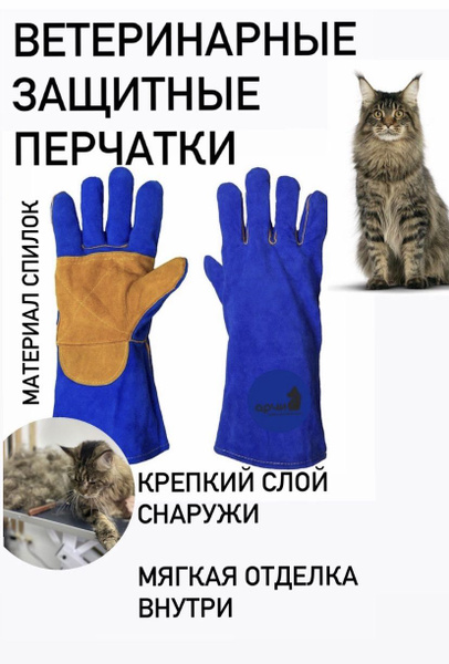 Перчатки защитные ветеринарные для груминга животных - купить с ...