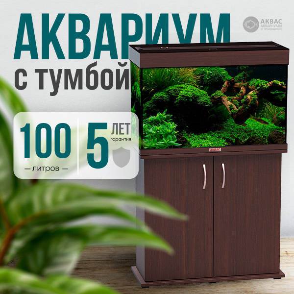 Аквариум 100 литров с тумбой крышкой и освещением (76*31*52 см) Аквас ...