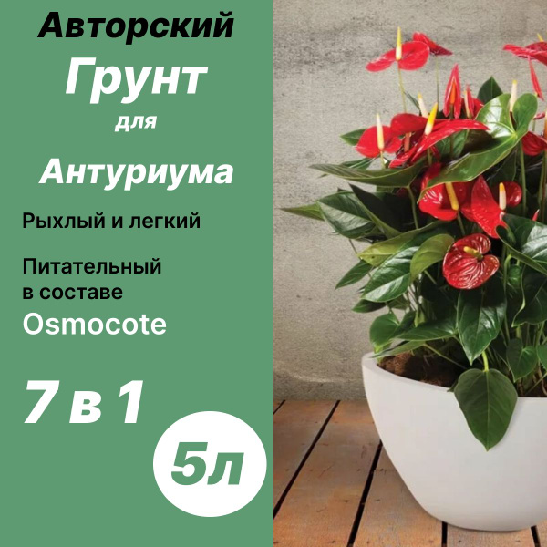Грунт для Антуриума 5л - купить по низкой цене в интернет-магазине OZON ...