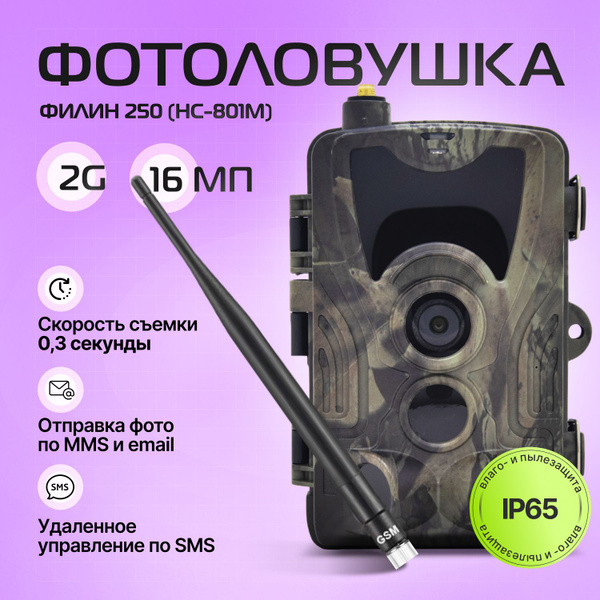 Фотоловушка Сокол 250 с функцией отправки SMS/MMS/2G (HC-801M ...