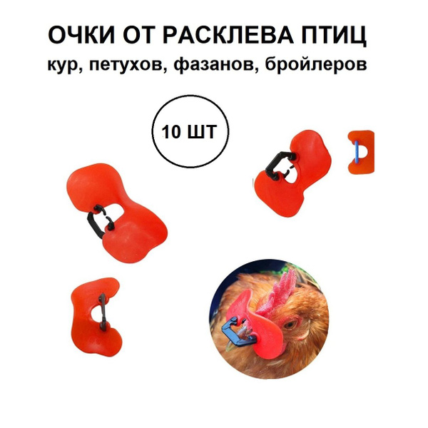 Очки от расклева птиц 10 штук - купить с доставкой по выгодным ценам в ...