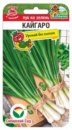 Лук Сибирский сад НФ-00006464_зеленый_бордовый_Лук на зелень Кайгаро ...