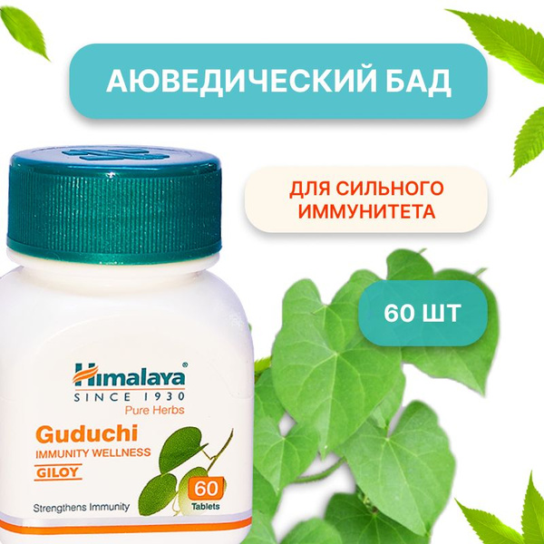 Guduchi (Гудучи) Himalaya для укрепления иммунитета, 60 таблеток купить ...
