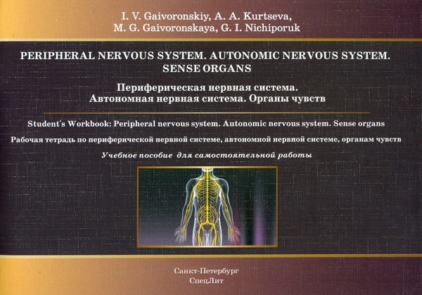 Периферическая нервная система. Автономная нервная система. Органы ...