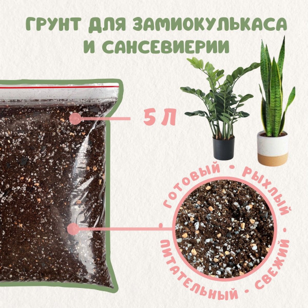 Готовый грунт для замиокулькаса и сансевиерии. Грунт для комнатных ...