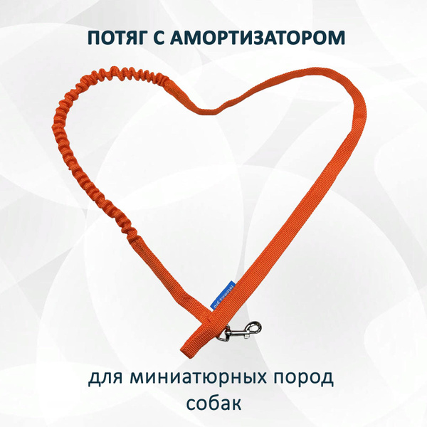 Поводок Super lite для мелких пород собак с амортизатором (потяг ...