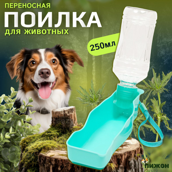 Поилка прогулочная для собак, 250 мл, бирюзовая - купить с доставкой по ...