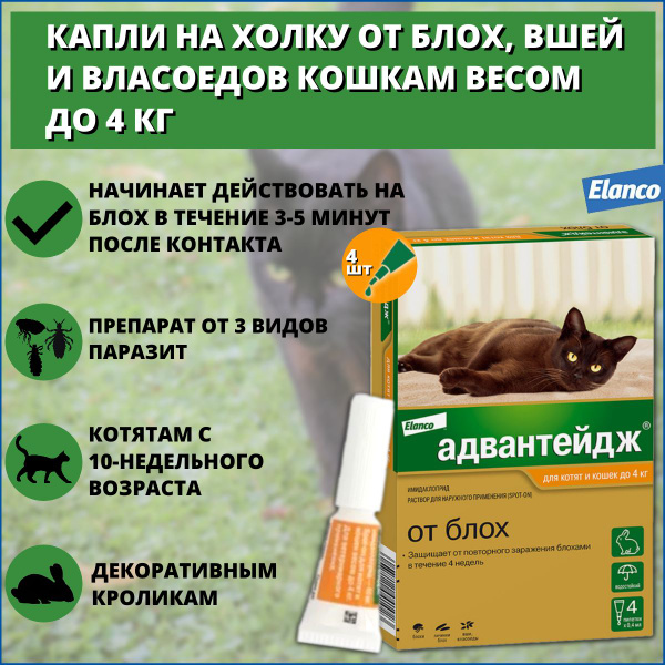 Капли Bayer/Elanco Адвантейдж для кошек до 4 кг от блох, вшей и ...
