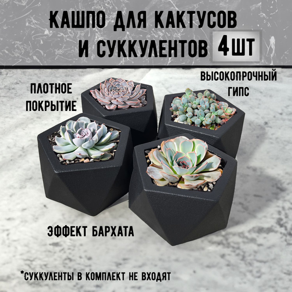 Кашпо горшок для кактусов и суккулентов купить на OZON по низкой цене ...