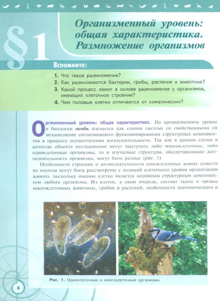 Биология. 11 класс. Учебник. Базовый уровень. ФГОС - купить с доставкой ...