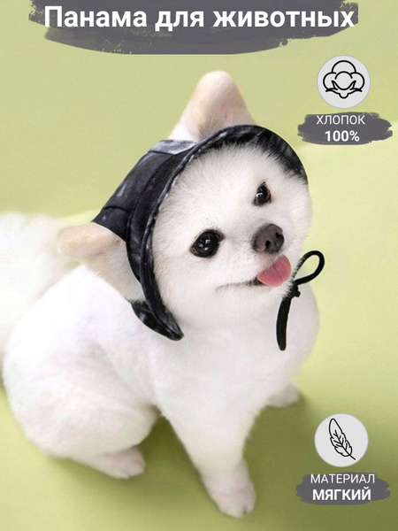Кепка для собак и кошек - купить с доставкой по выгодным ценам в ...