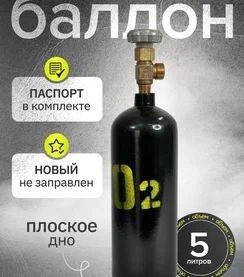 Баллон углекислотный 5л Ярпожинвест шовный купить на OZON по низкой ...