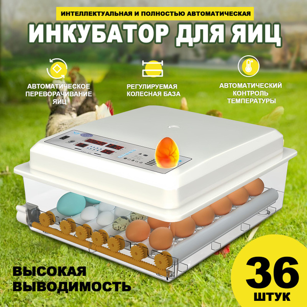 Автоматический инкубатор для яиц 36 с термостатом, гигрометром ...