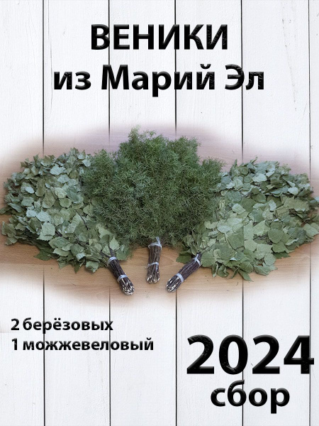 Комплект веников для бани, береза 2 штуки, можжевельник из Марий Эл ...