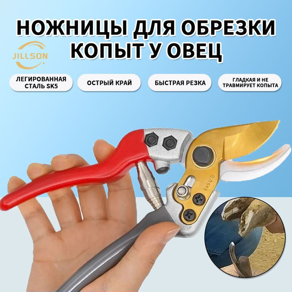 JILLSON Ножницы для обрезки копыт овец, коз, МРС суперострые(CHINA ...