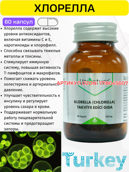 Хлорелла в капсулах, хлорофилл Турция купить на OZON по низкой цене ...