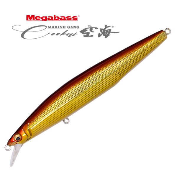 Leurre Megabass Marine Gang Cookai 120F - Flottant 12cm 19g - Pêche Mer