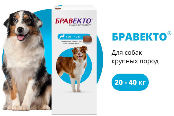 Бравекто (Bravecto) жевательная таблетка для собак весом 20-40 кг ...